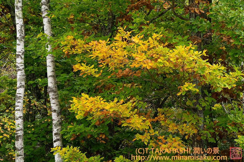 ../Images/7R251013 (84).jpg